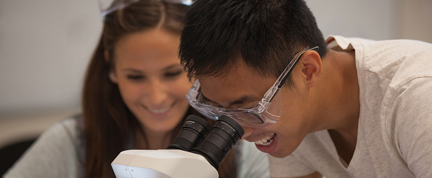 students using a microscope