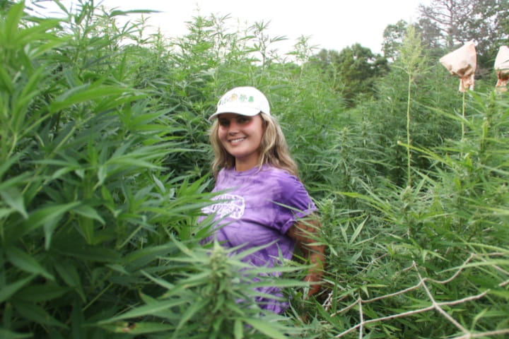 girl in hemp plant garden