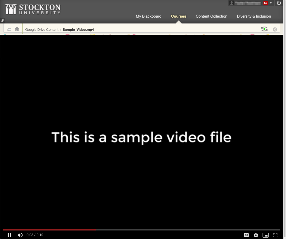 A screenshot of an embedded video file playing within Blackboard.