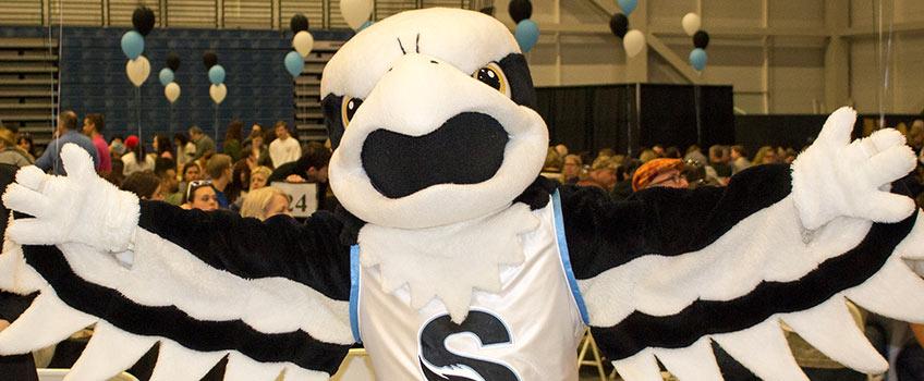 Go Ospreys! Support our teams!