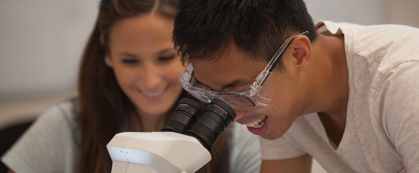 students using a microscope