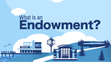 What is an Endowment?