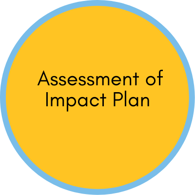 Assessment of Impact Plan Link