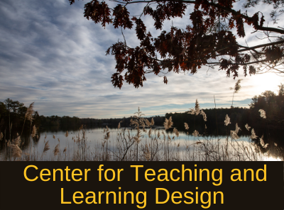 Center for Teaching and Learning Design
