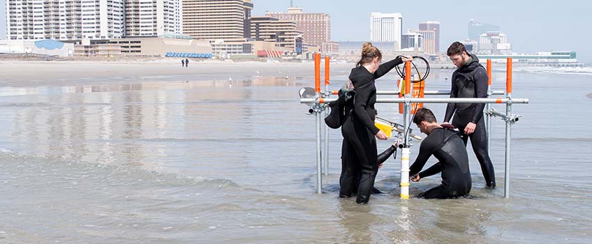 Students in wet suits conduct research along the shoreline