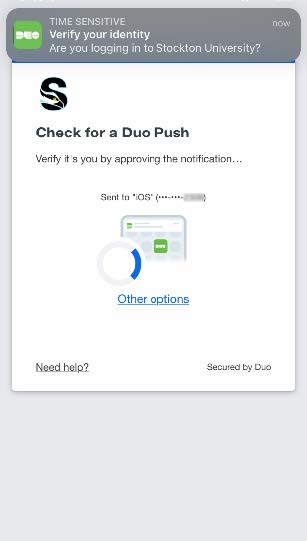A screenshot of a Duo Push prompt