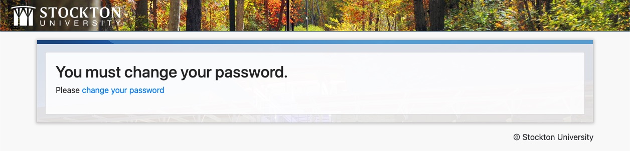 Username and Password Prompt