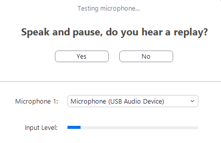 Screenshot of Microphone test for Zoom