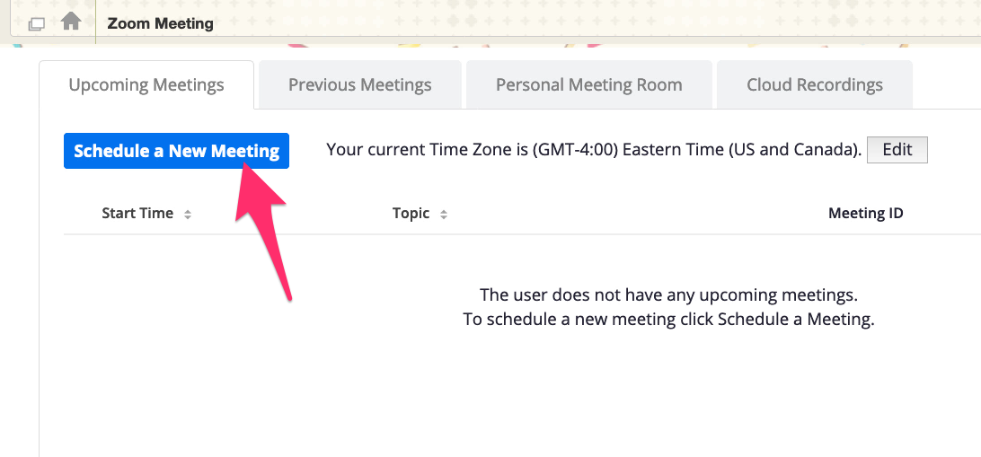 A screenshot showing the "Schedule a New Meeting" button in Zoom.