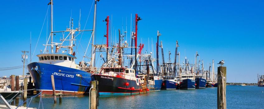 Cape May Fishing Fleet - with permission Cape May County Tourism