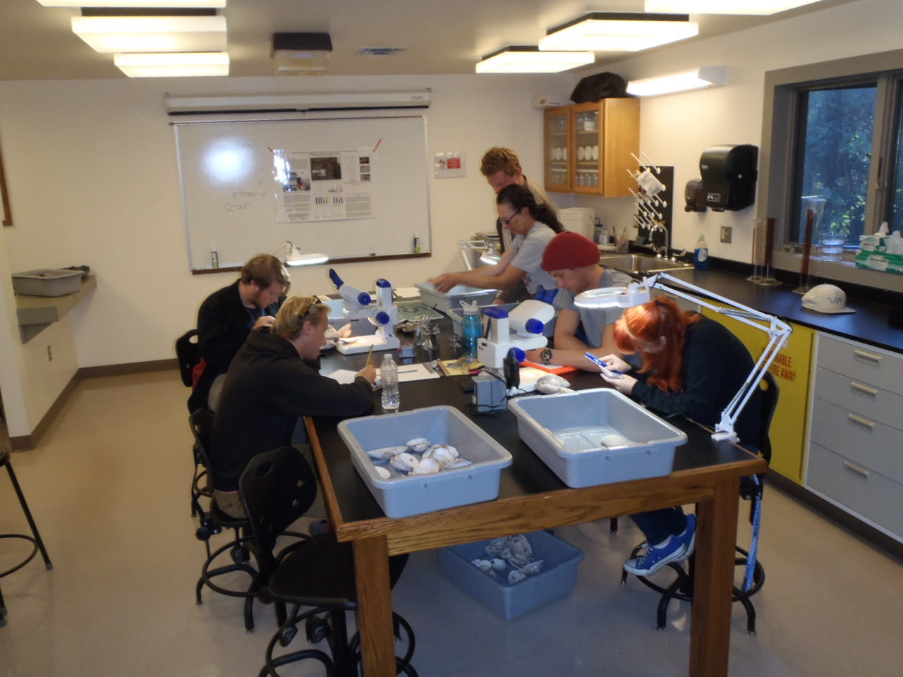 Image of research lab inside Stockton University Marine Field Station