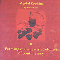 Migdal Zophim cover