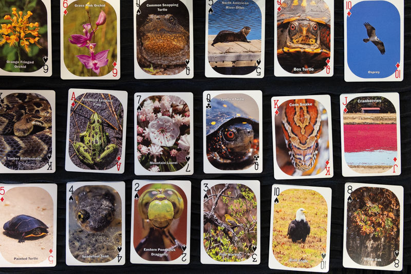 playing cards