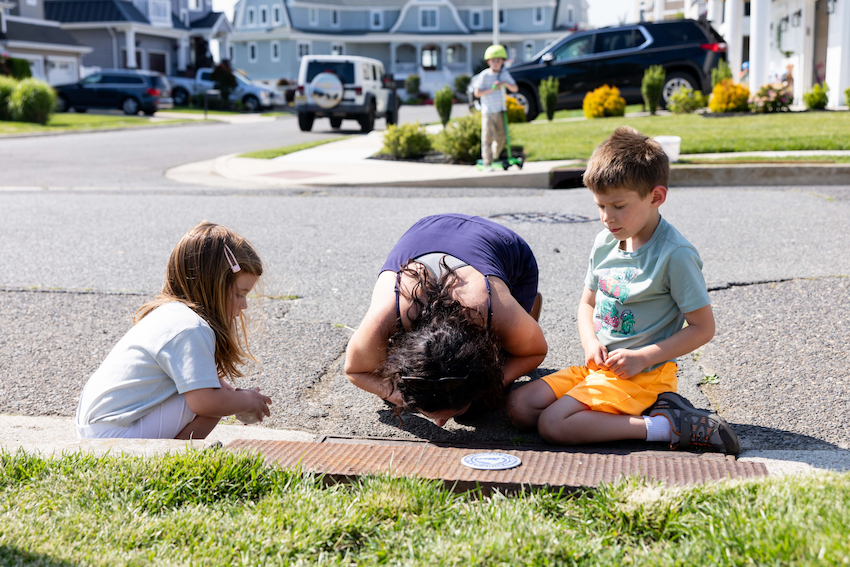 storm drain terrapins