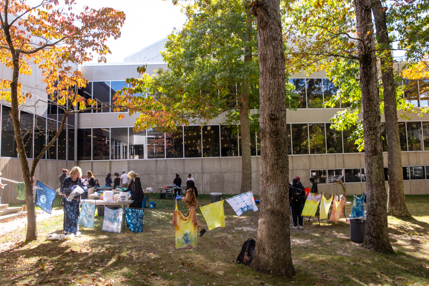 dye workshop dye workshop