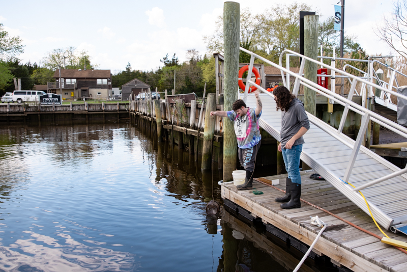 fish survey fish survey