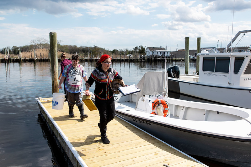 fish survey fish survey