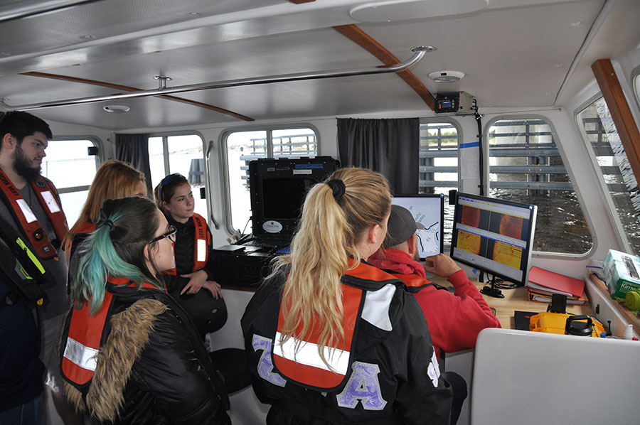 Students studying sonar