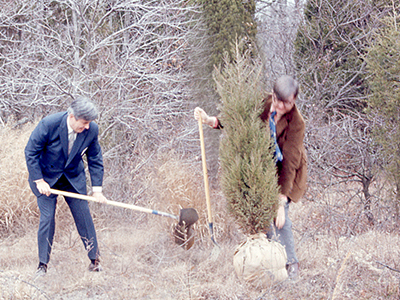 tree planting 1970