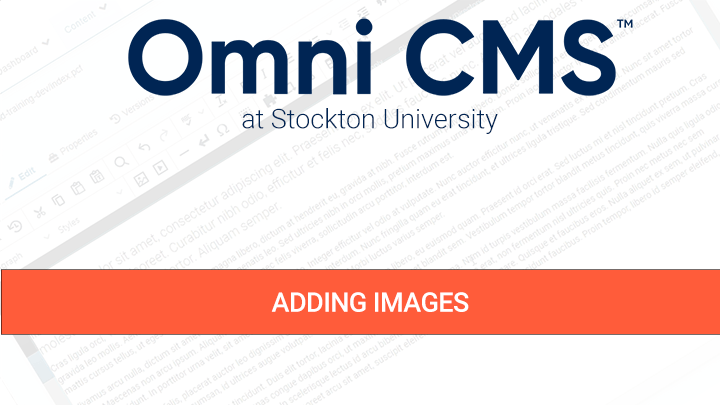 Adding Images in Omni CMS