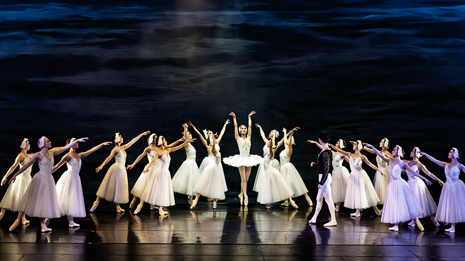 SWAN LAKE