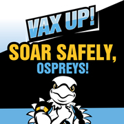 Vax Up! Soar Safely, Ospreys!