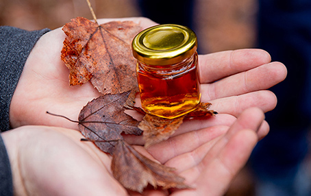 Image of maple syrup and leaves