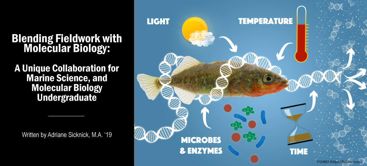 Environmental DNA with fish