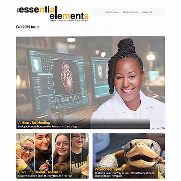 Nams E-zine Fall 2025 Screen Shot