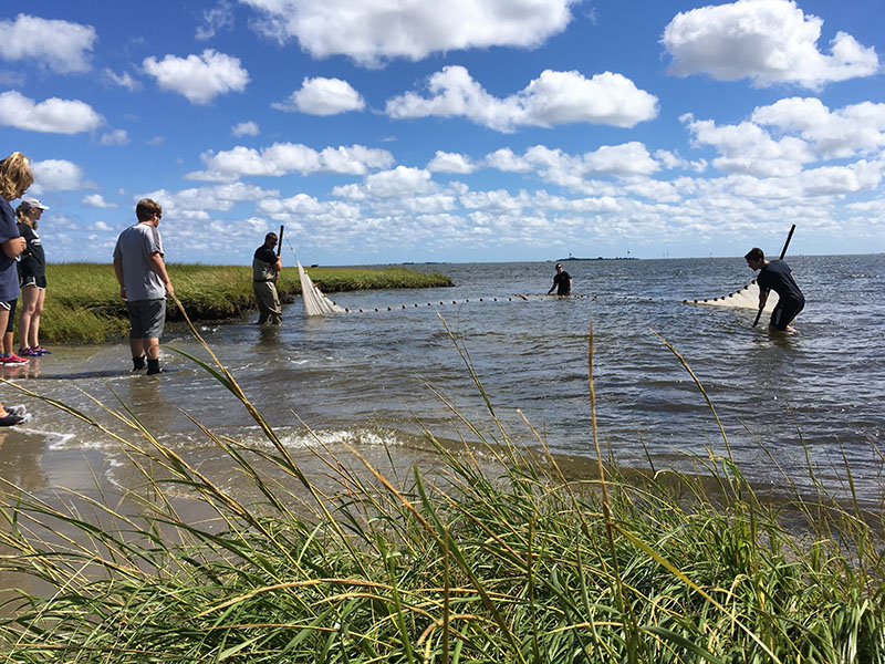 Students seining