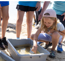 Young child at World Ocean Day at Marine Field Station