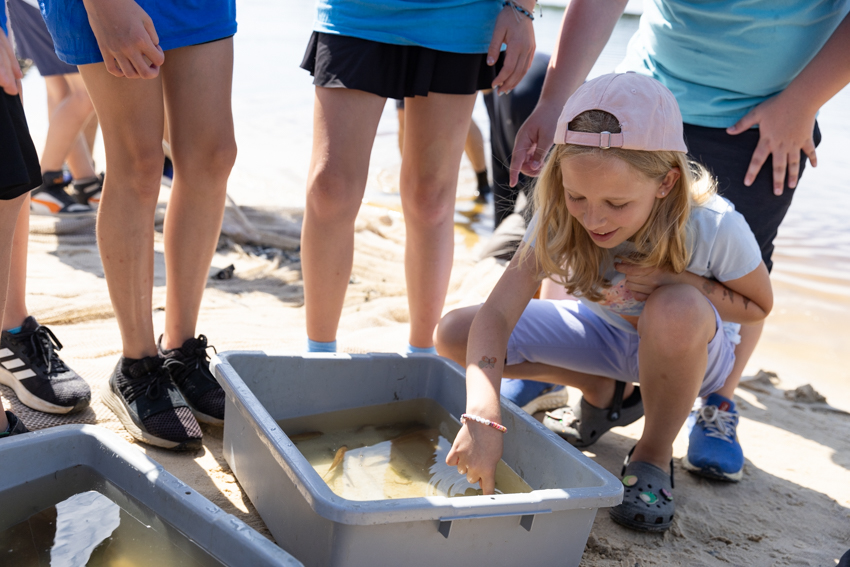 Young visitors looking at crabs in container