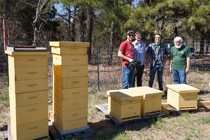 beekeeping and honey production on the campus farm
