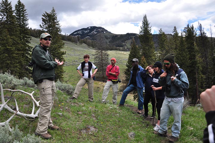 Sustainability students learn about wolf management in Yellowstone National Park