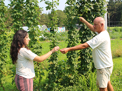 ava with Associate Professor of Sustainability Ron Hutchison check the progress of hops being grown at the Stockton farm.