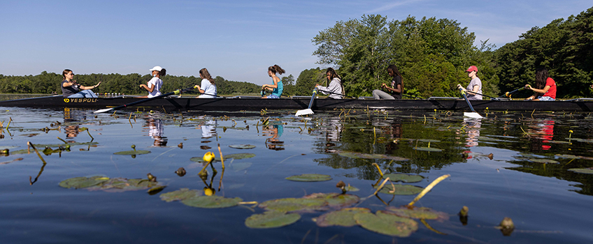 students rowing 