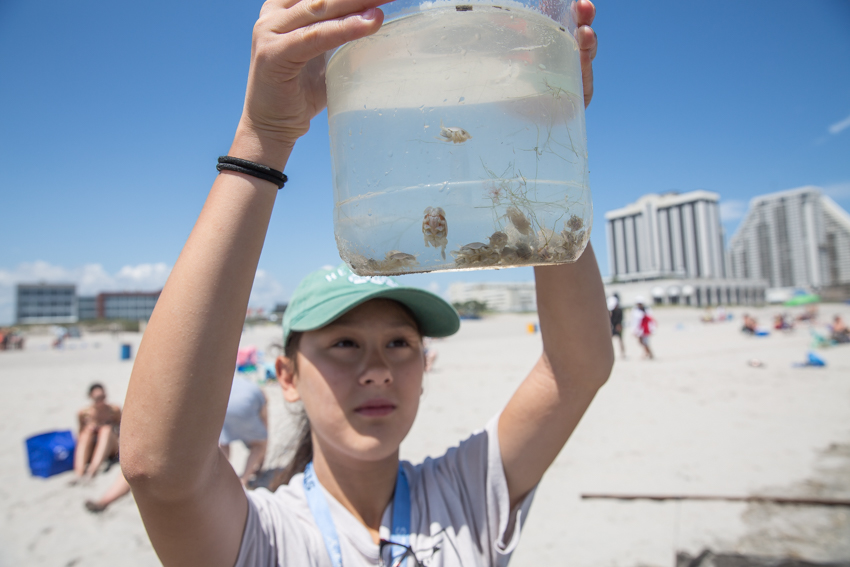 girl holding jar of water with sand crabs in it 