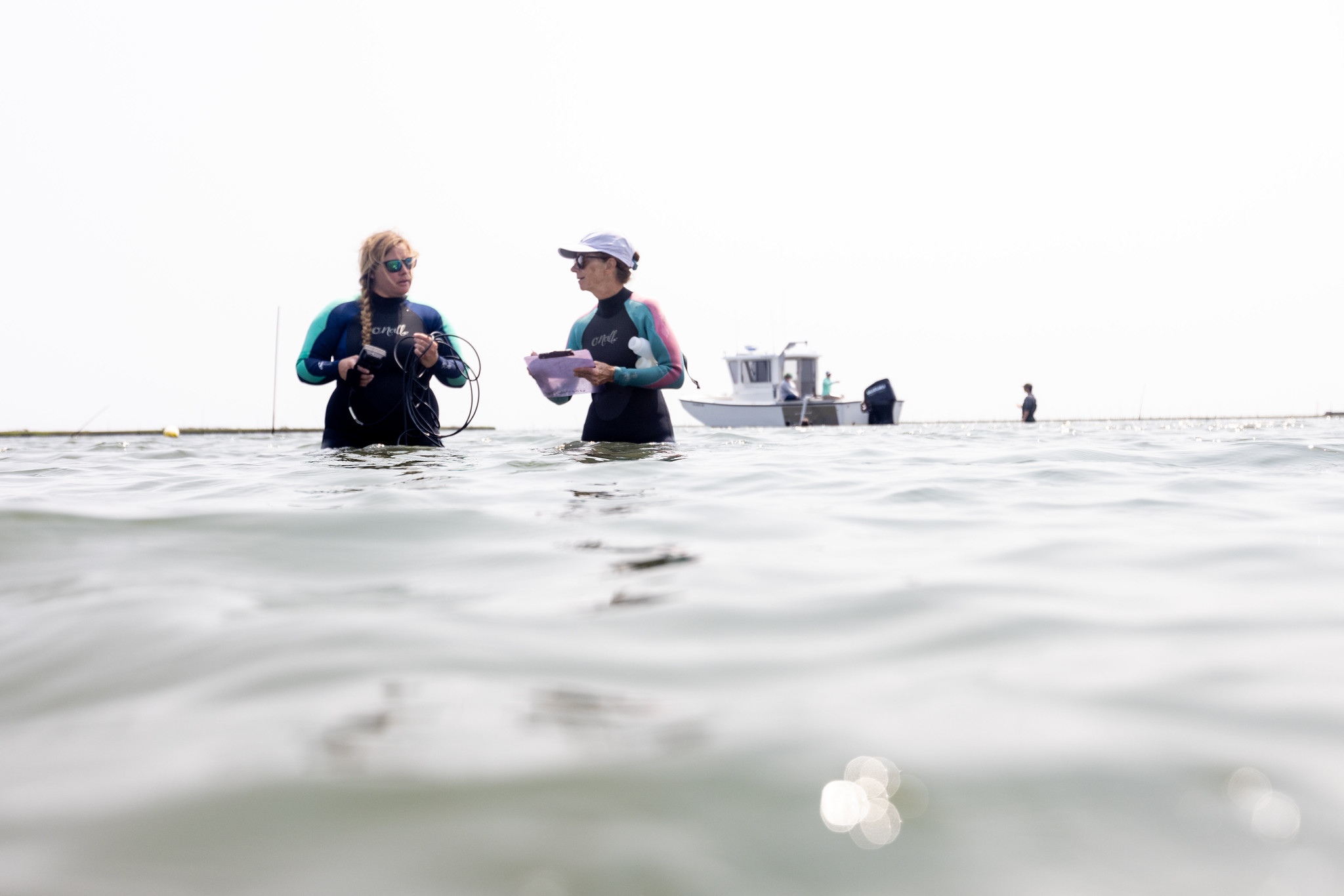 Shellfish Farmers