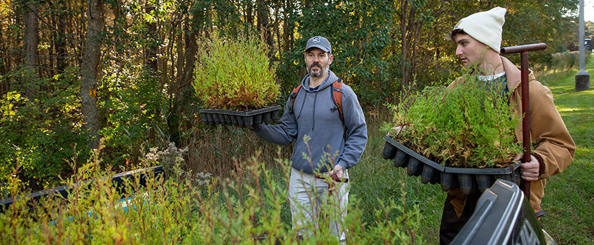 Atlantic White Cedar is Taking Root for a Comeback at Stockton