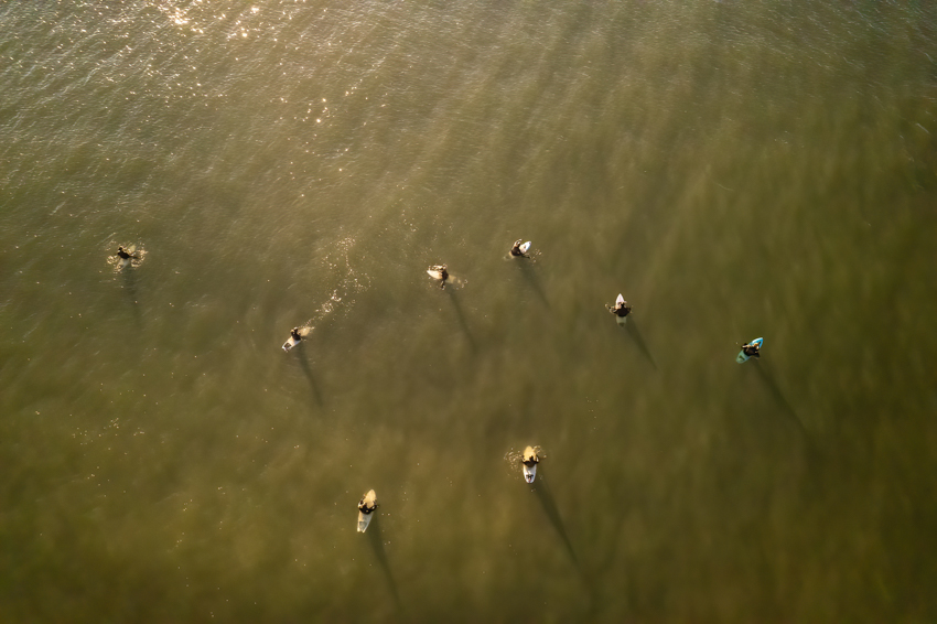 arial view of surfers in water