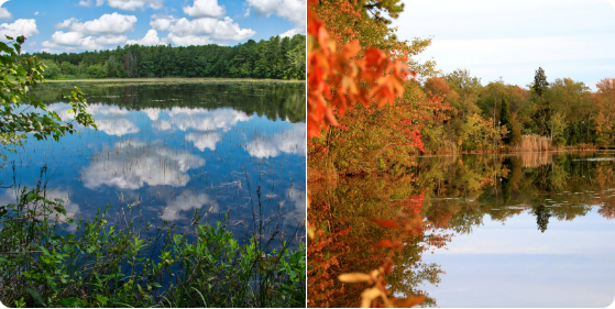 lake with trees with leaves changing