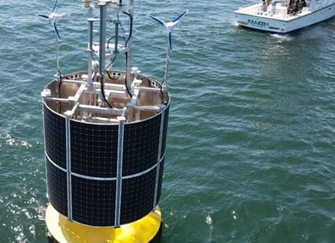 buoy floating in water