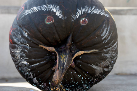 pumpkin painted as a crow