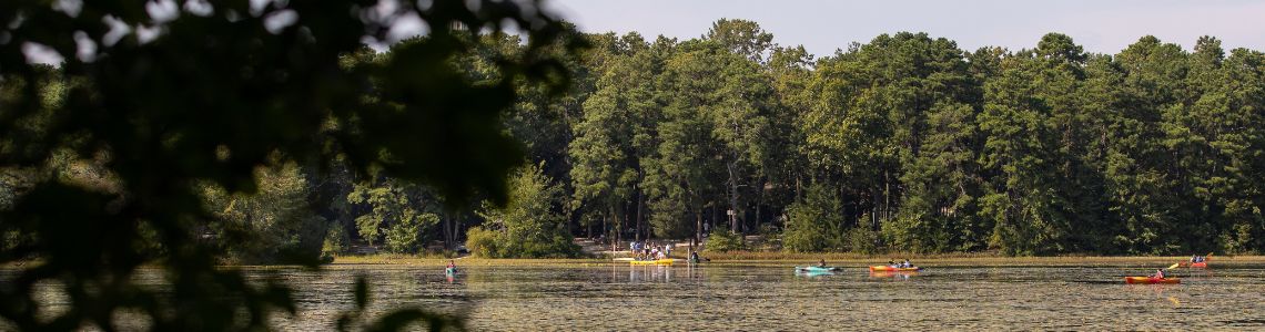 A view of canoes on Lake Fred with an expanse of green trees