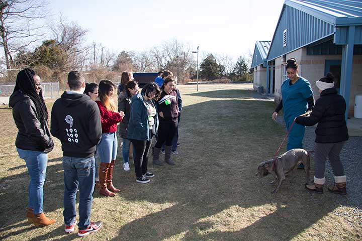 Students at animal shelter