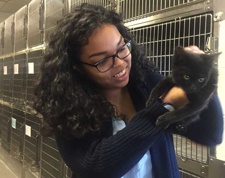 Student at animal shelter