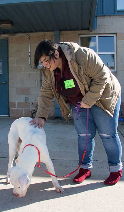 Student at animal shelter