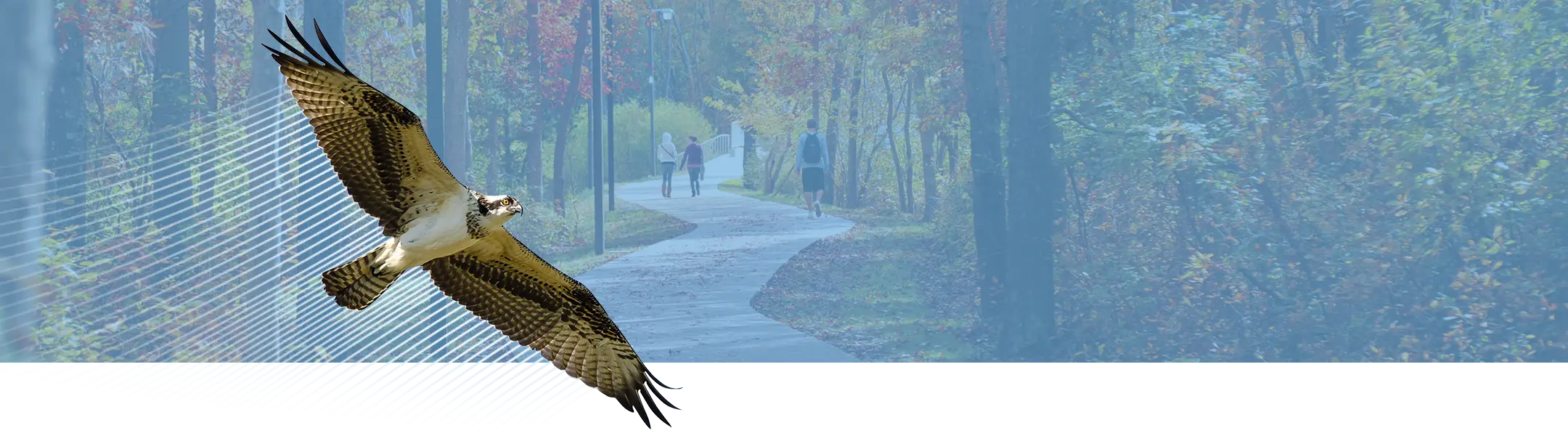 Stockton University Collage of Images